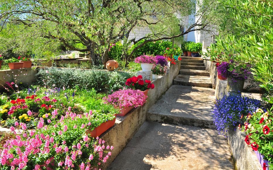 photo de L'île aux fleurs