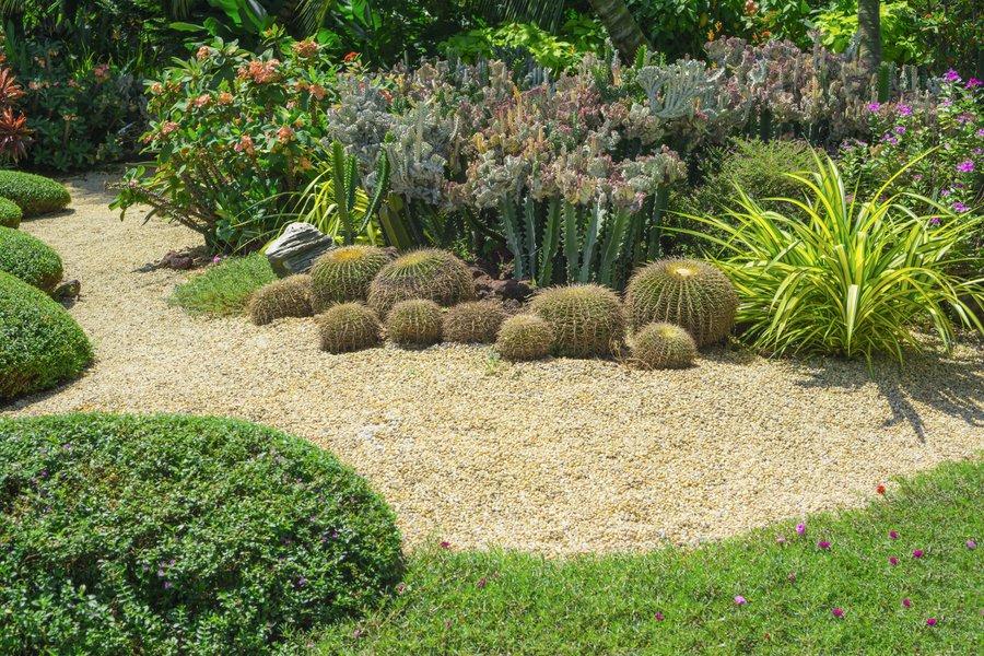 photo de Jardin de la savane